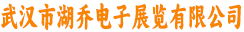 武汉市湖乔电子展览有限公司